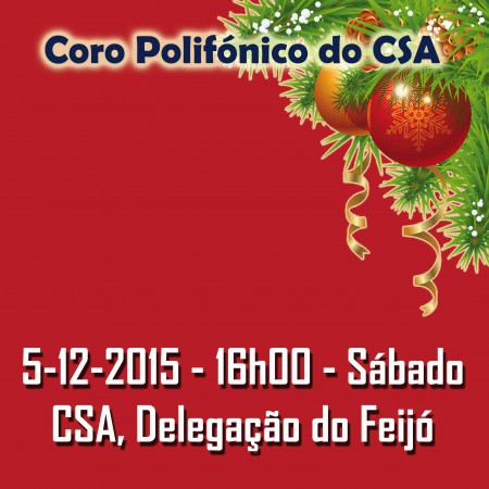 5-12-2015 - CSA, Delegação do Feijó
